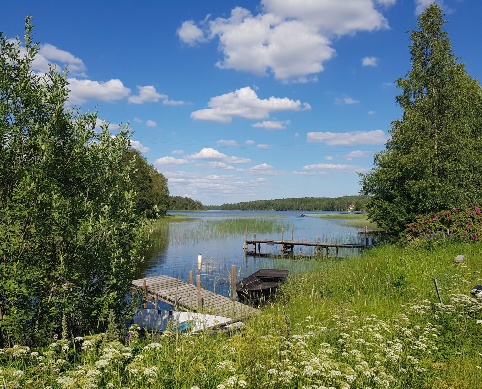 En sommarbild